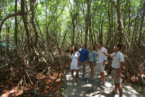 Eco tour en la Riviera Maya