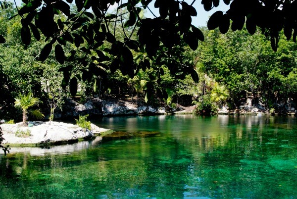 Dia de gracias Cenote en la Riviera Maya