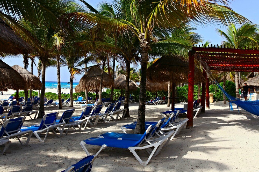 Riviera Maya palmeras Unas agradables vacaciones