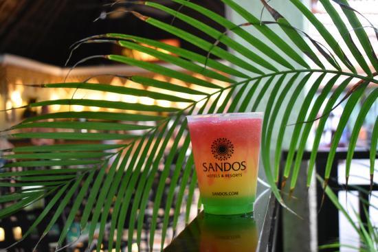 Sandos Caracol Eco Resort bar cocktails