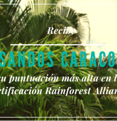 Certificación Rainforest y grupo Sandos