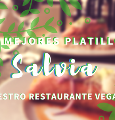 Deliciosas opciones veganas y sus 5 platillos en el restaurante Salvia