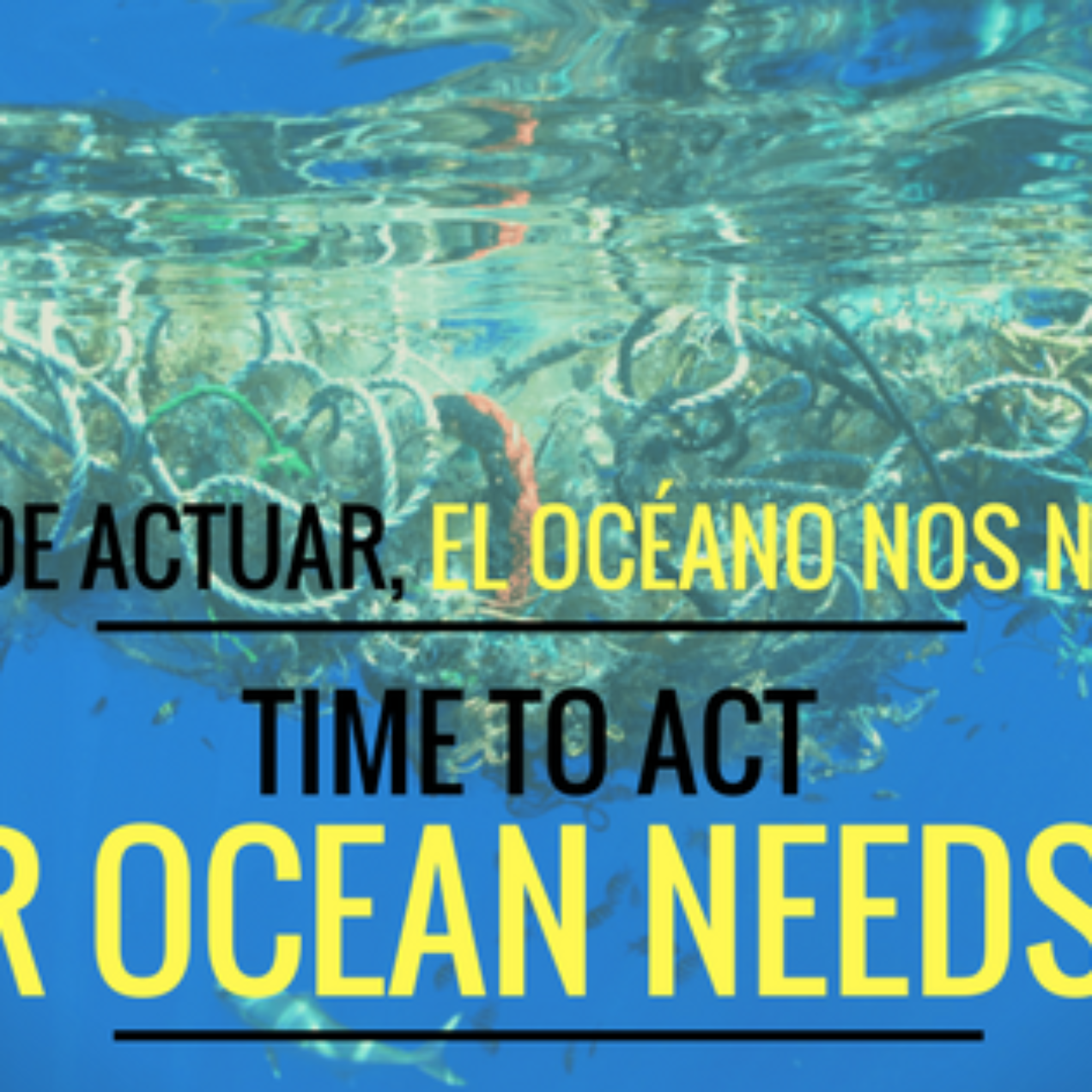 Time to Act: Our Ocean Needs You