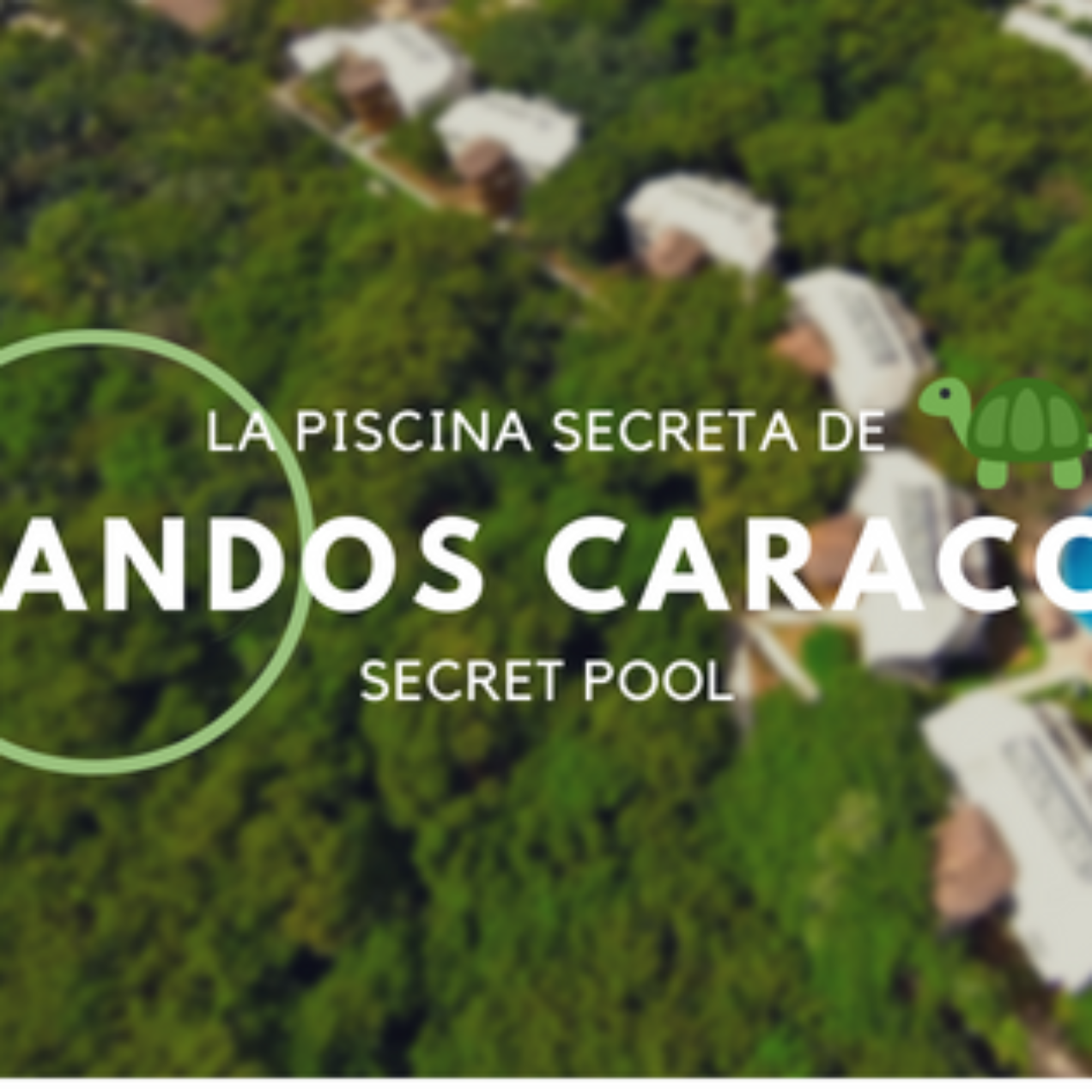 The Secret Pool at Sandos Caracol