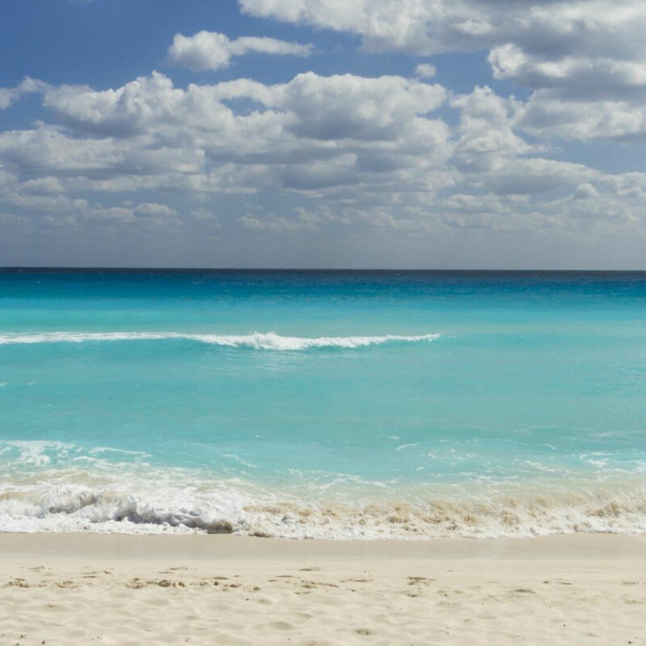 Descubre Cancún con Sandos Resort te enseñamos como hacerlo
