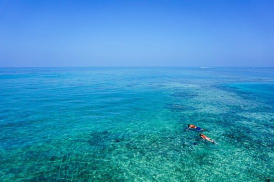 The Best Snorkeling Spots in Playa del Carmen  