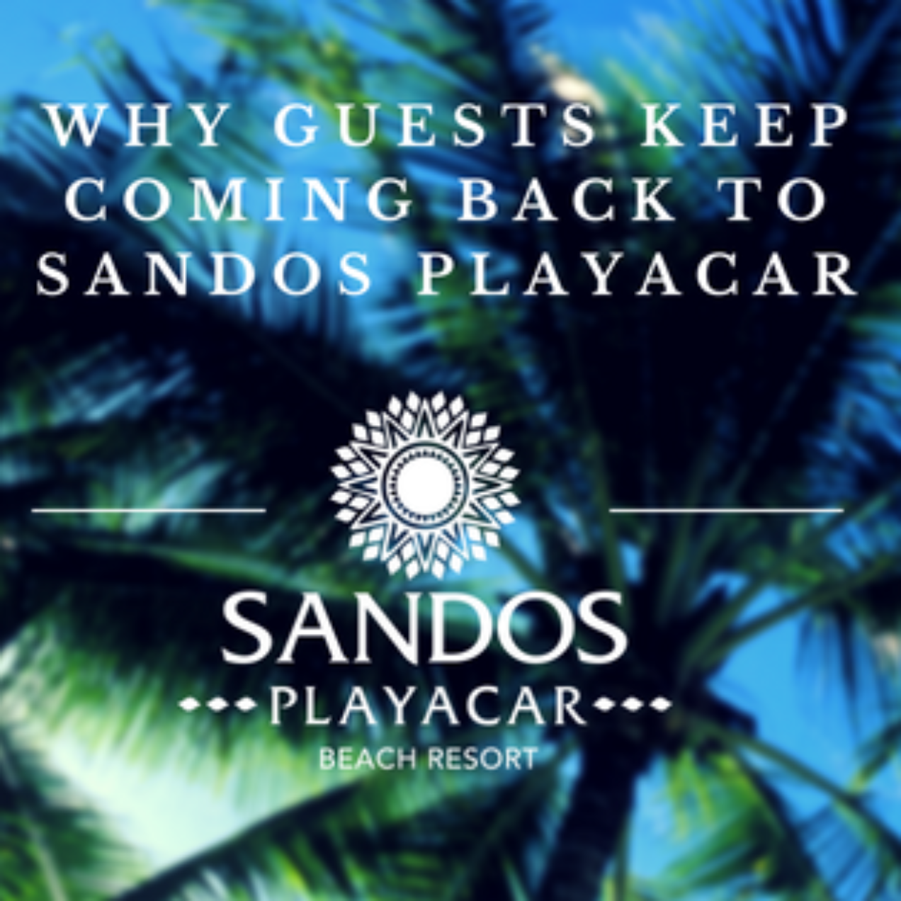 Why guests keep coming back to Sandos Playacar