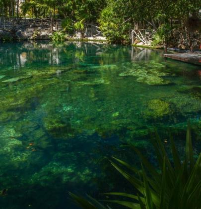 Did You Know: Riviera Maya Cenotes Are Sacred?