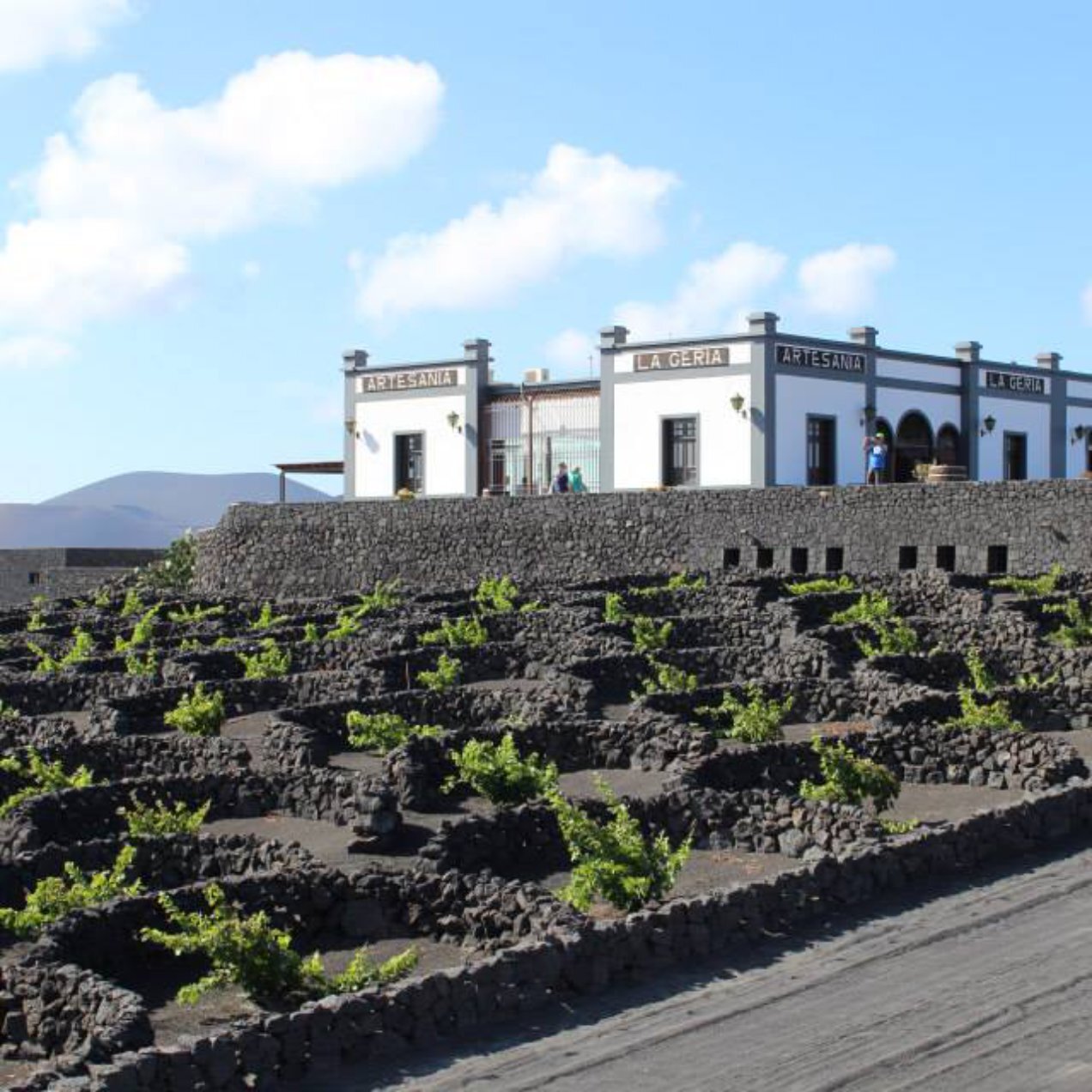Tierra del vino, la Geria de Lanzarote Sandos Resort