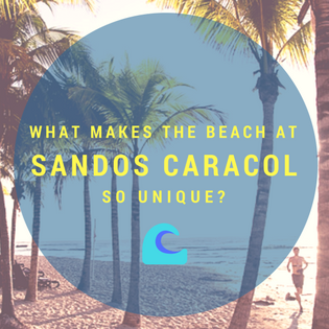 What Makes the Beach at Sandos Caracol so Unique?
