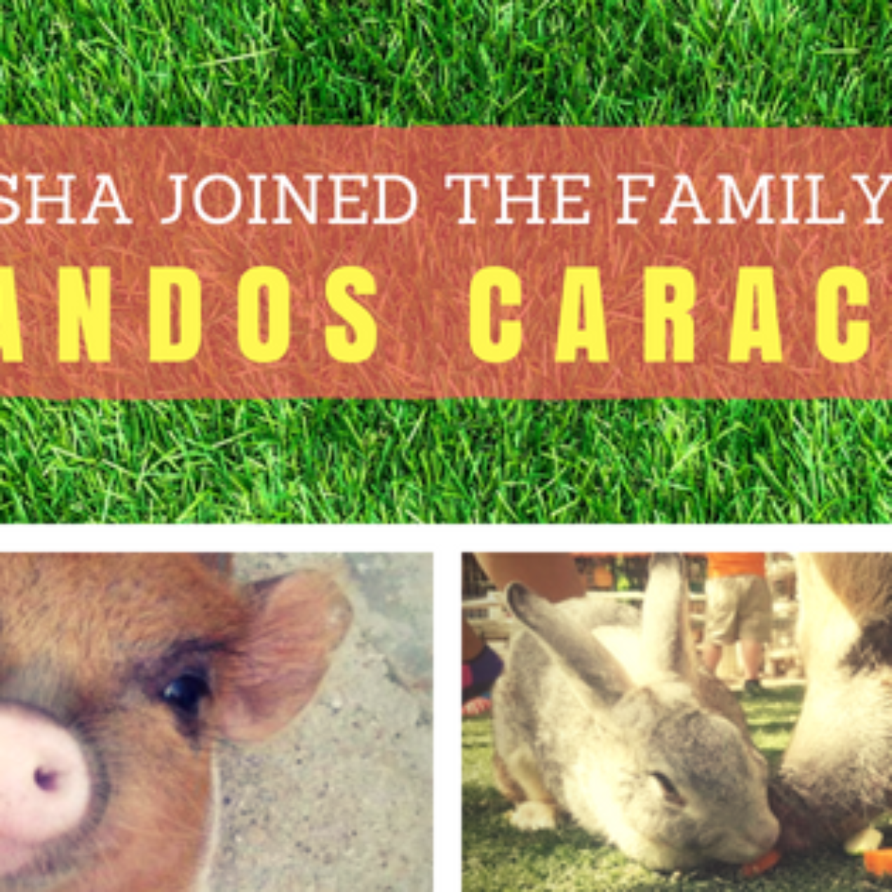 Niasha Joins the Family at Sandos Caracol