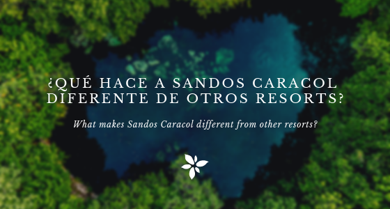 Sandos Caracol, ¿que lo hace diferente de otros resorts?