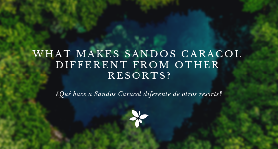 What makes Sandos Caracol different from other resorts?
